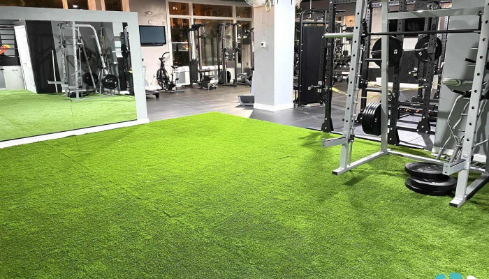 Definition Of Fitness -  All - Washington