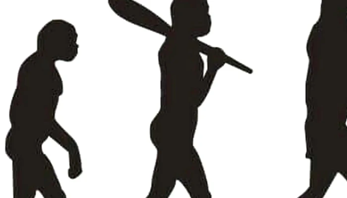 Del Norte Sports And Wellness -  Score - Albuquerque