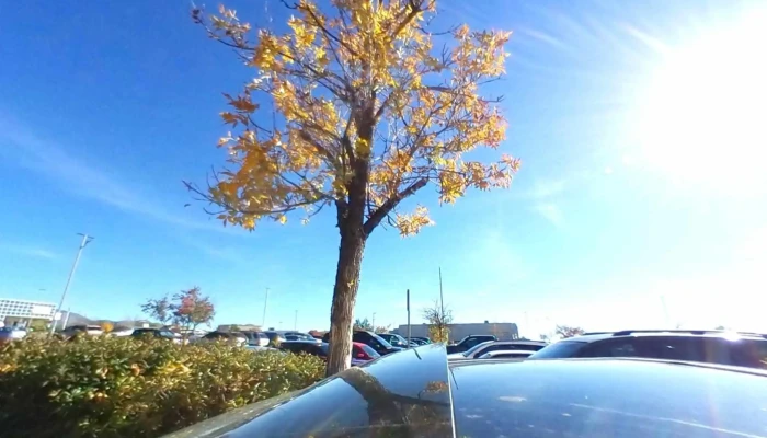 Del Norte Sports And Wellness -  Street View 360deg - Albuquerque