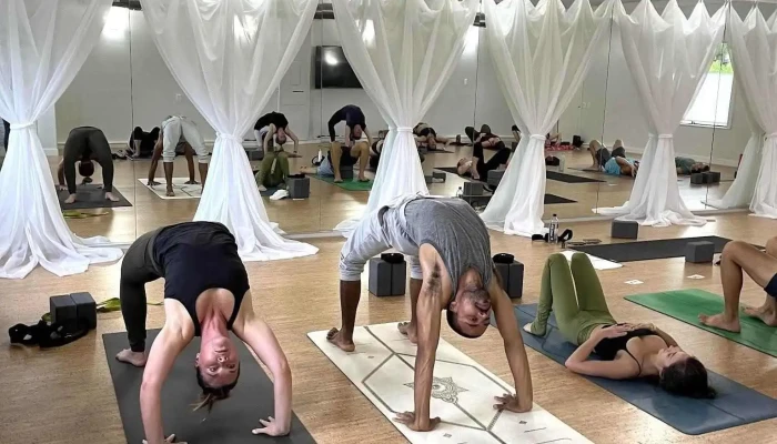 Dharamsala Tc -  Yoga - Traverse City