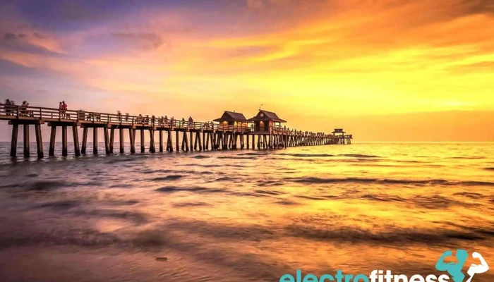 Dt Evolution Fitness Nutrition By Owner - Fort Myers
