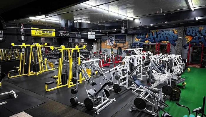 Edon Fitness Training All - Brighton