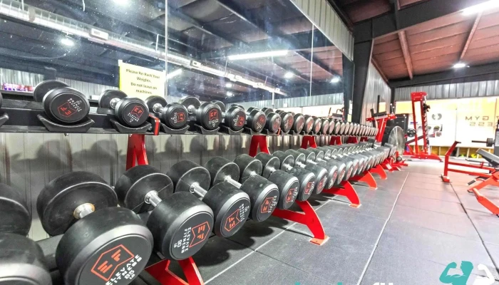 Elevate Fitness -  Latest - Sparta