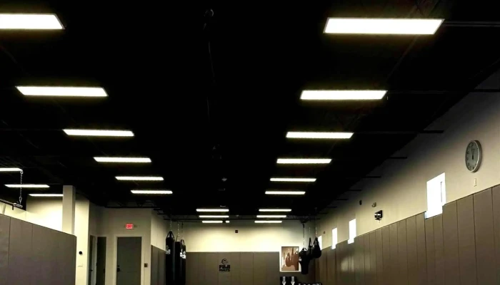 Elevate Jiu Jitsu Academy -  Martial Arts School - Westwood