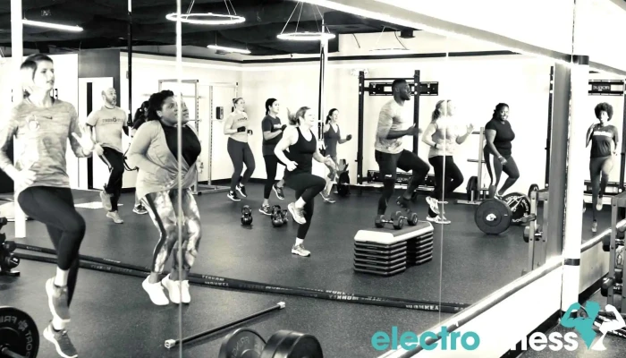 Elite Bodies Llc Exercise Machine - Silver Spring