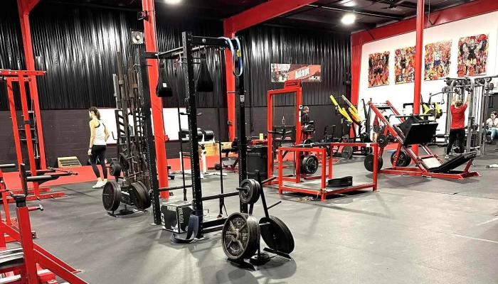 Elite Custom Fitness -  Personal Trainer - Sewickley