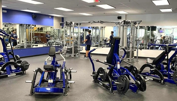 Elite Fitness Club -  Area - Seymour