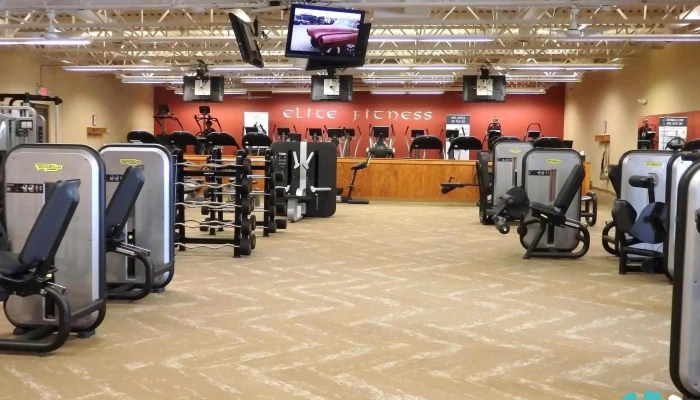 Elite Fitness Of Gray Inc All - Gray
