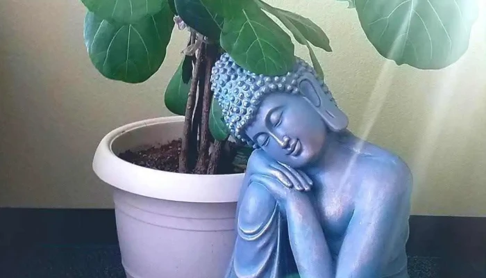 Embody Massage And Wellness Solutions -  By Owner - Englewood