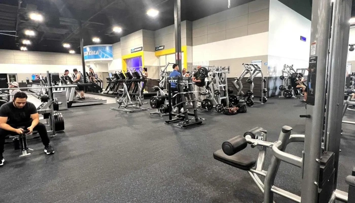 Eos Fitness Phone - Mesa