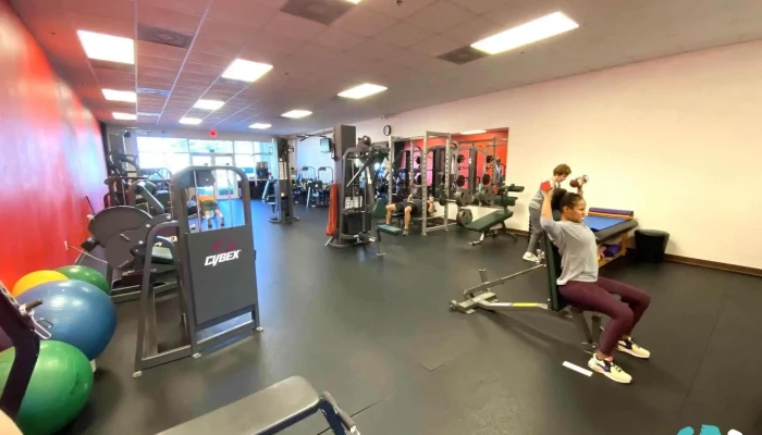 Everlasting Fitness -  Training - Bonita Springs