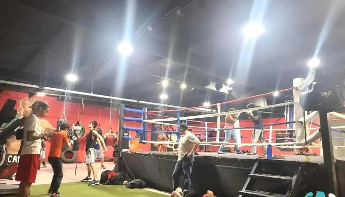 Ferocious Fitness Boxing Gym - San Antonio