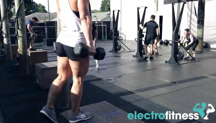 Fit Crew -  Gym - Bradenton
