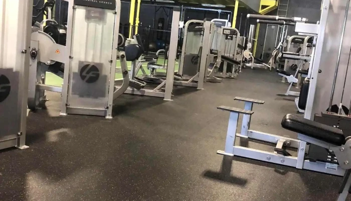 Fitness 4 Less -  All - Bowie