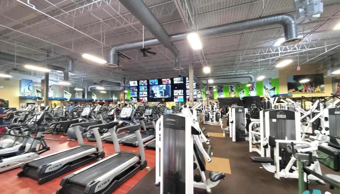 Fitness Cf -  All - Orlando