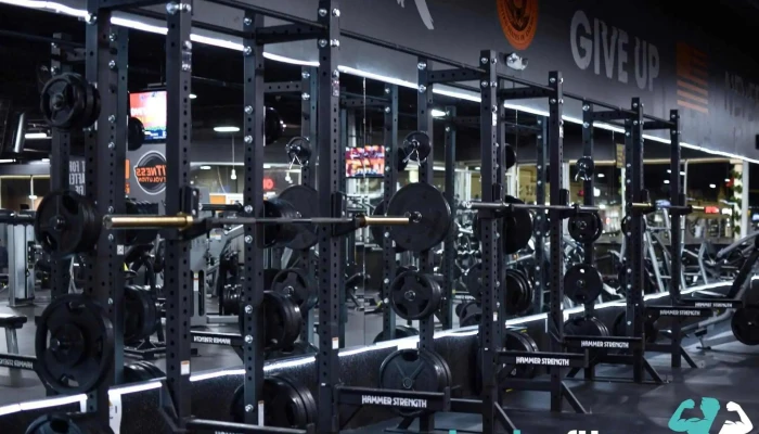 Fitness Evolution -  All - Laurel