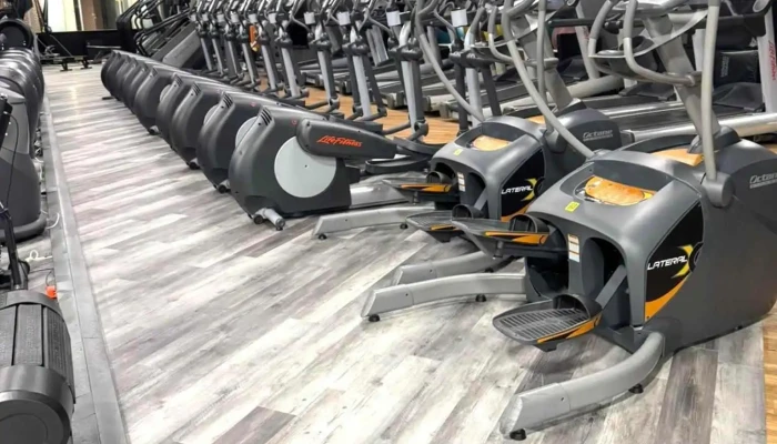 Fitness Evolution -  Latest - Laurel