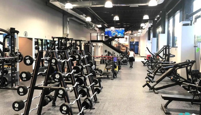 Fitness Factory -  All - Yonkers