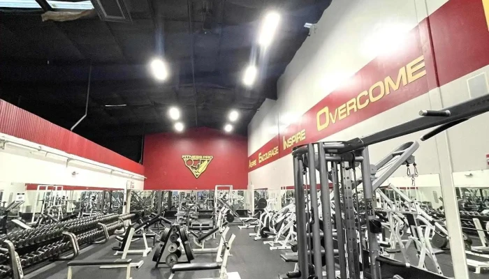 Fitness Pro -  All - Galt