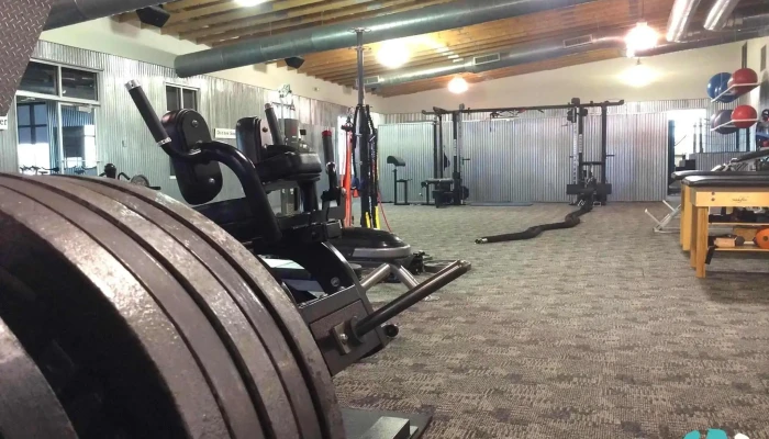 Fitnessology -  Exercise Machine - Green Bay