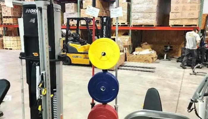 Fitnesszone Sales Service Weight Machine - Alabaster