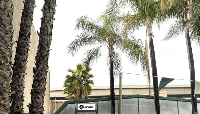 Forma Gym San Jose -  Area - San Jose