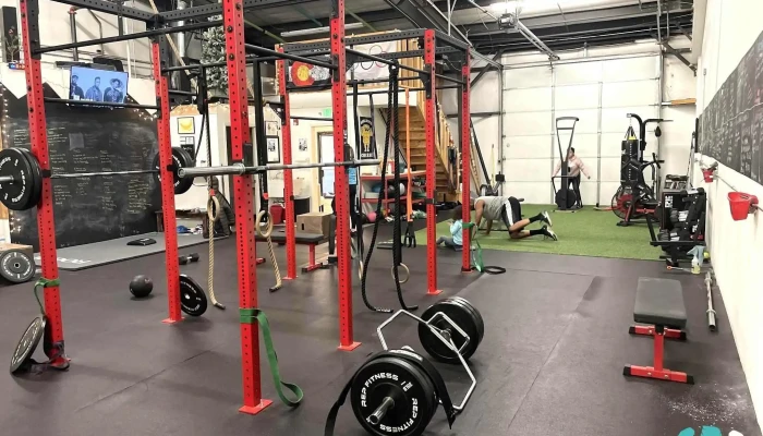 Four Horsman Fitness -  All - Golden