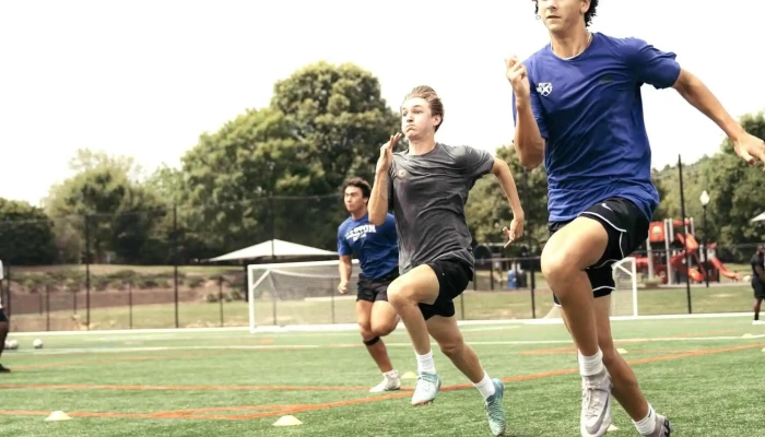Framework Performance Academy -  All - Apex