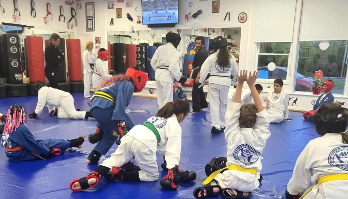 Freestyle Martial Arts Academy -  Address - Absecon