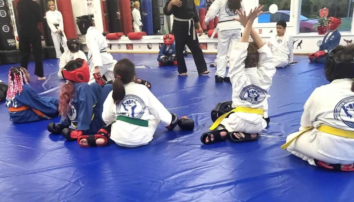 Freestyle Martial Arts Academy -  Catalog - Absecon