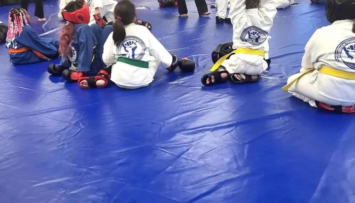 Freestyle Martial Arts Academy -  Community - Absecon