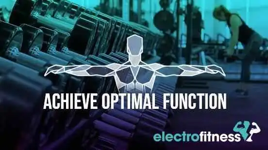 Full Circle Function & Fitness - Allison Park