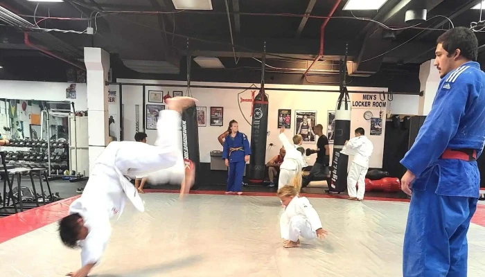 Fusboxe Sambo 1 Martial Arts Martial Arts School - Westminster