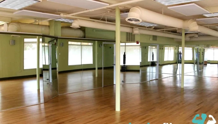 Gaia Flow Yoga Addison -  By Owner - Addison