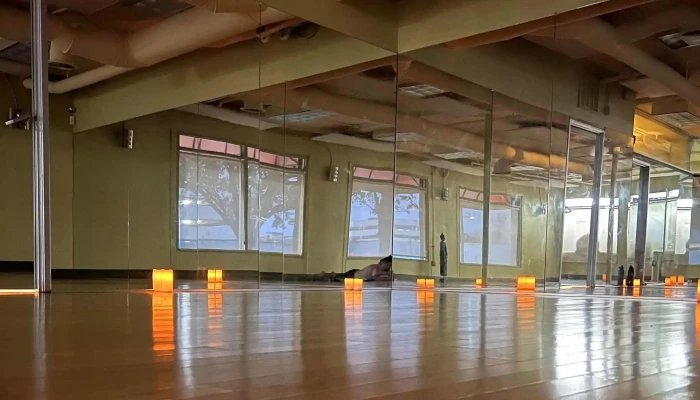 Gaia Flow Yoga Addison -  Photos - Addison