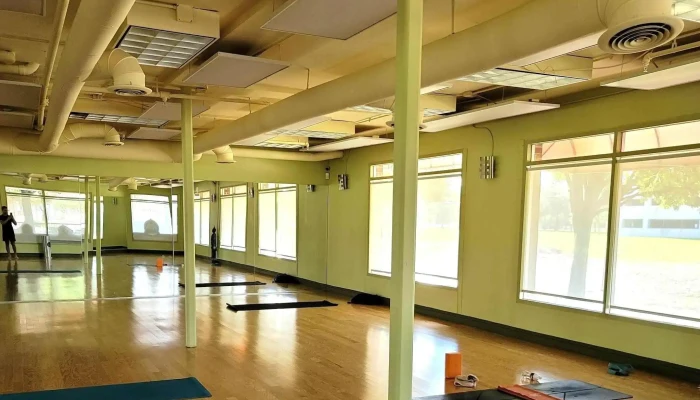 Gaia Flow Yoga Addison -  Yoga Studio - Addison