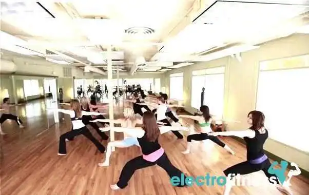 Gaia Flow Yoga Addison -  Yoga - Addison