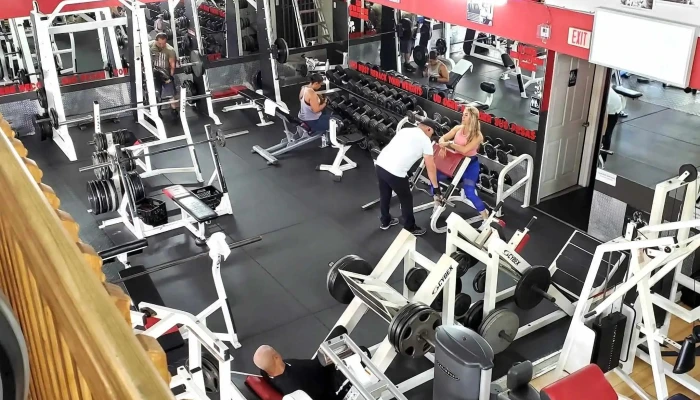 Gallo 8 Gym -  Catalog - Miami