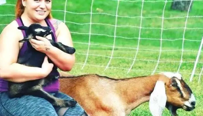 Gettysburg Goat Yoga -  By Owner - Gettysburg