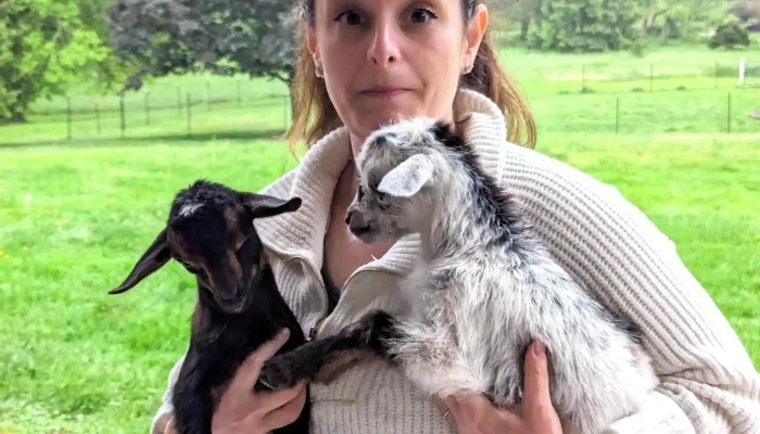 Gettysburg Goat Yoga -  Comments - Gettysburg
