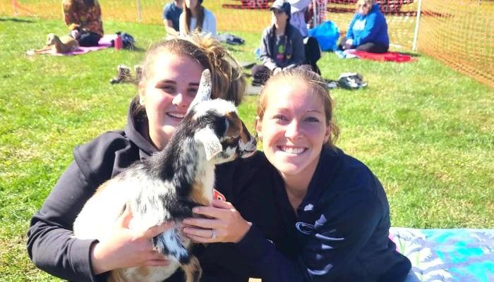 Gettysburg Goat Yoga -  Instagram - Gettysburg