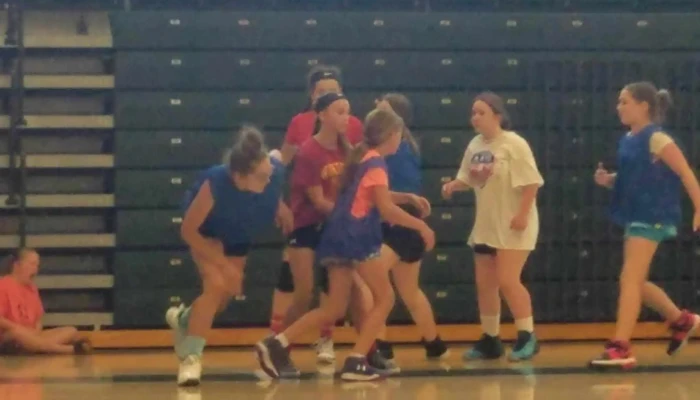 Glenbrook Gymnasium -  Website - Castleton