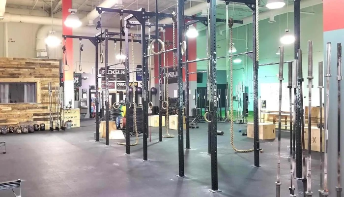 Go Primal Fitness And Training Institute -  Near Me - Gainesville