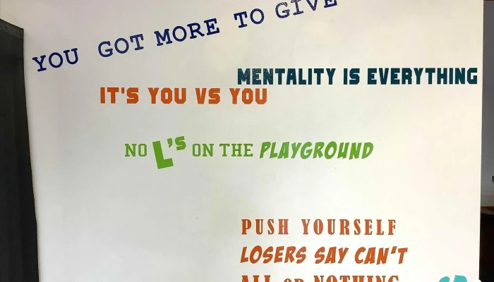 Goe Fitness -  By Owner - Merrillville