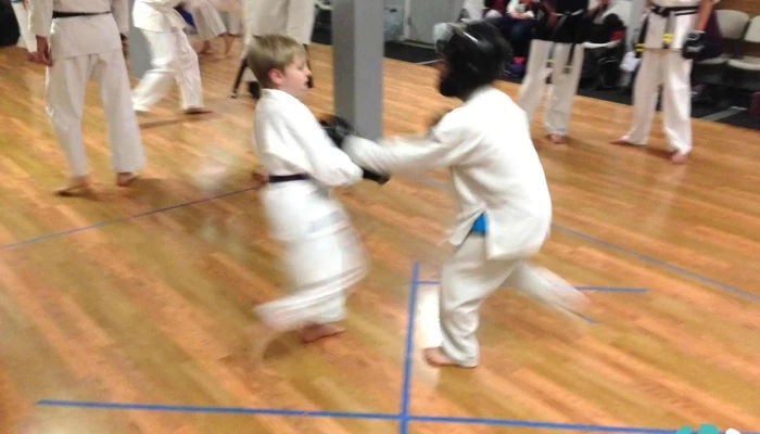 Goju Ryu Karate Of Selah -  By Owner - Selah