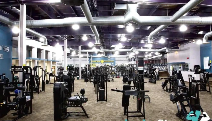 Gold's Gym - Totowa