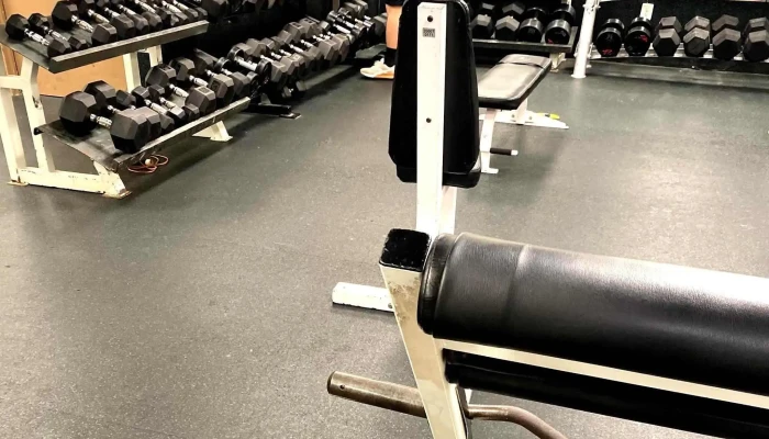Golds Gym   Frederick Frederick - Frederick