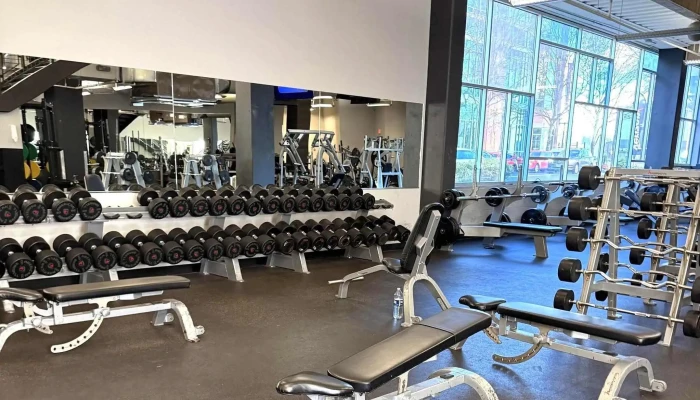 Golds Gym   Rockville Town Square Phone - Rockville