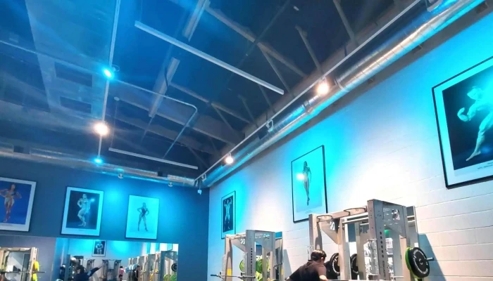 Golds Gym Cerritos Area - Cerritos