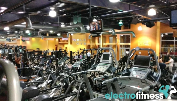 Golds Gym Exercise Machine - Totowa